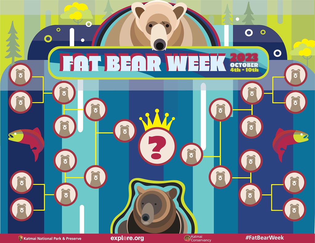 Fat Bear Week Website Crashes Under Massive Record-Breaking Traffic